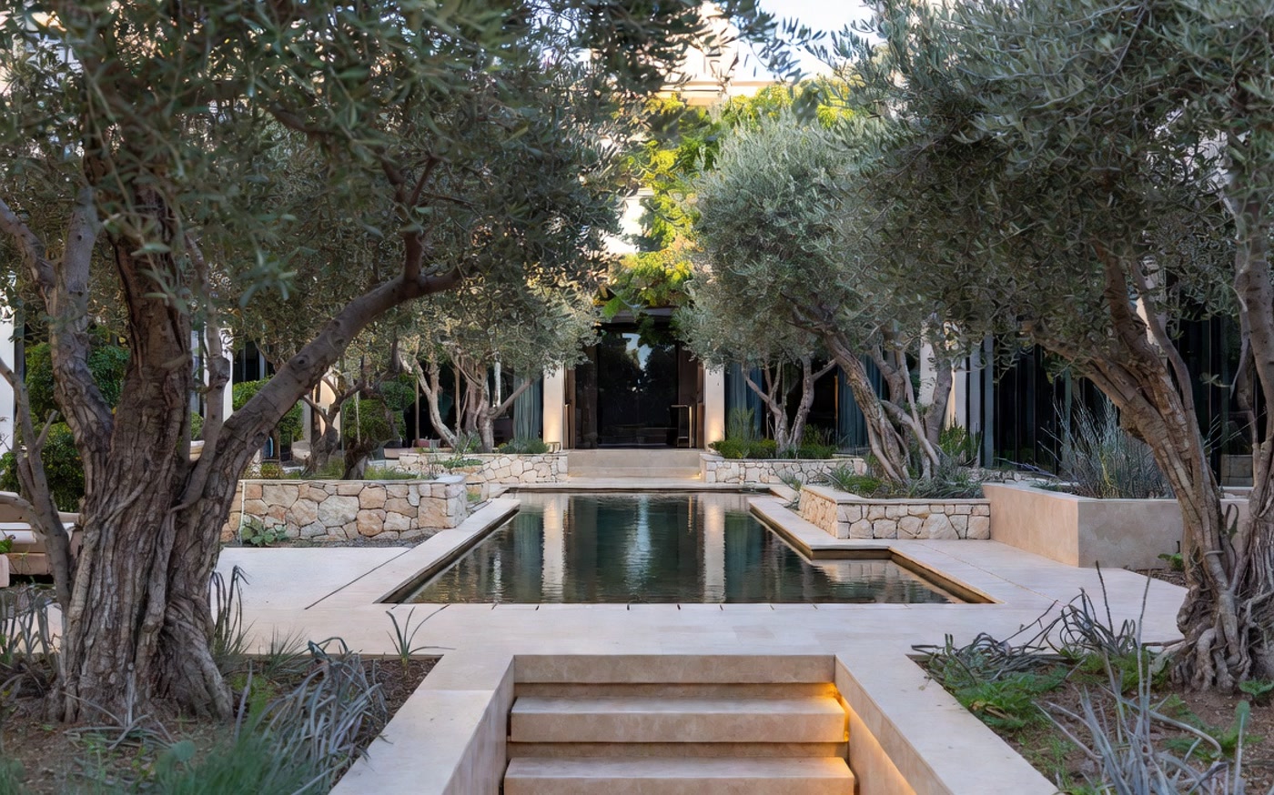 Serene private garden courtyard with olive trees and reflecting pool at the clinic